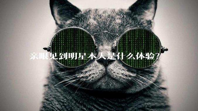 亲眼见到明星本人是什么体验？