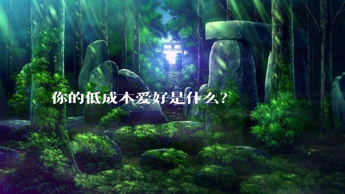 你的低成本爱好是什么？