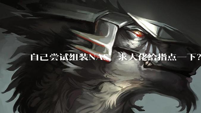 自己尝试组装NAS，求大佬给指点一下？