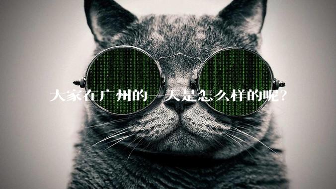 大家在广州的一天是怎么样的呢？