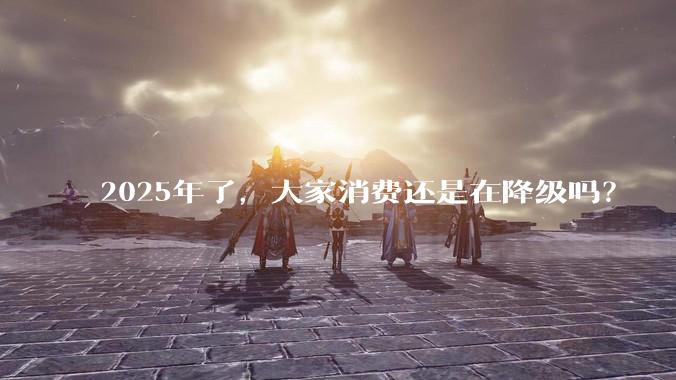 2025年了，大家消费还是在降级吗？
