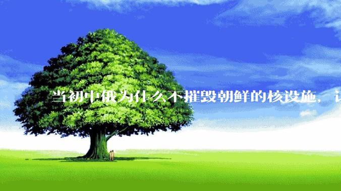 当初中俄为什么不摧毁朝鲜的核设施，让朝鲜拥有了自己的核武器？