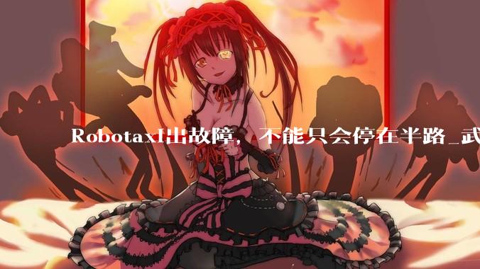Robotaxi出故障，不能只会停在半路_武汉_车辆_运营