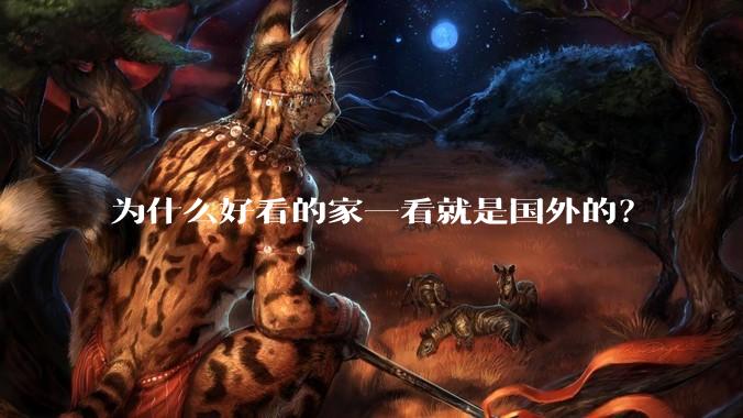 为什么好看的家一看就是国外的？