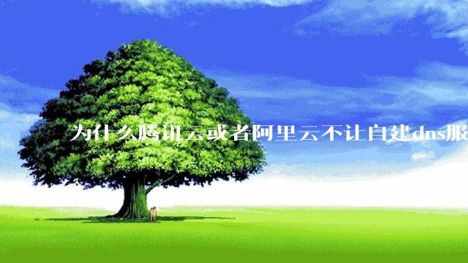 为什么腾讯云或者阿里云不让自建dns服务器?