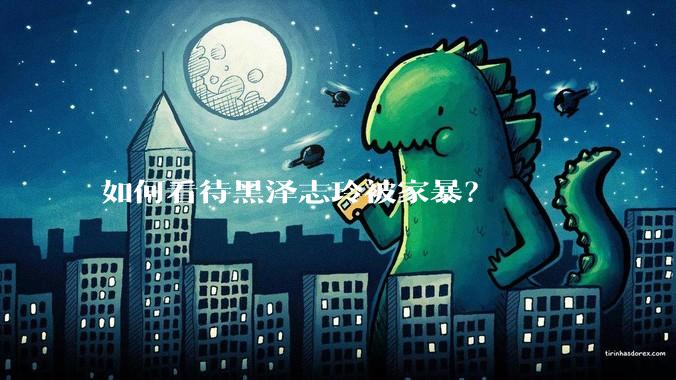 如何看待黑泽志玲被家暴？