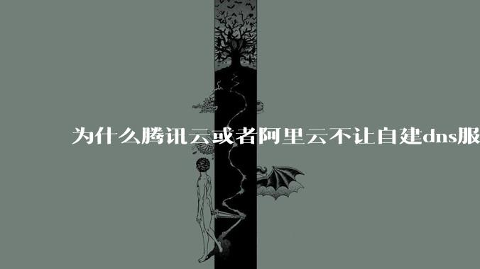 为什么腾讯云或者阿里云不让自建dns服务器?