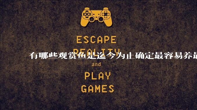 有哪些观赏鱼是迄今为止确定最容易养最不容易死的？