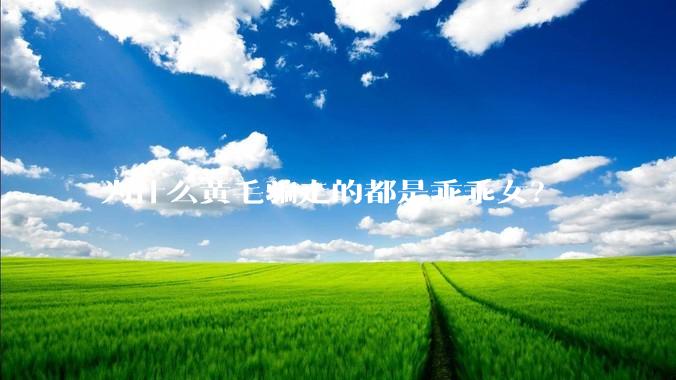 为什么黄毛骗走的都是乖乖女？