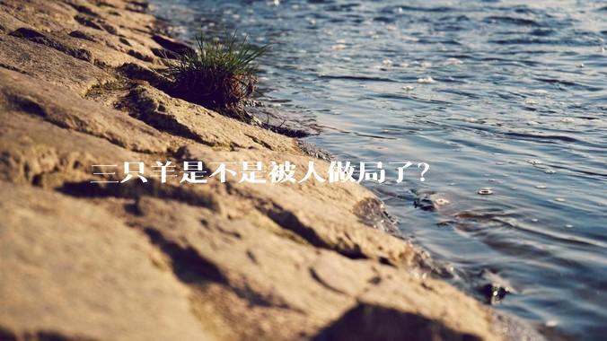 三只羊是不是被人做局了？