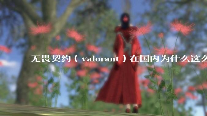 无畏契约（valorant）在国内为什么这么火?