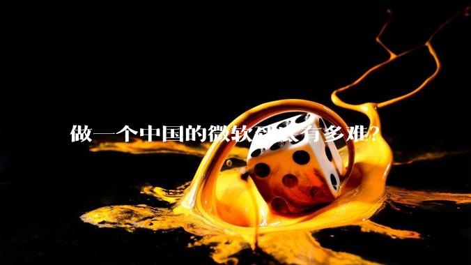 做一个中国的微软到底有多难？