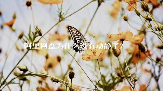 阿里网盘为什么没有动静了？