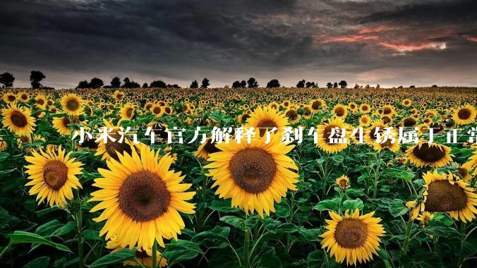 小米汽车官方解释了刹车盘生锈属于正常现象，并提供了两种除锈功能，这些措施是否足够有效？
