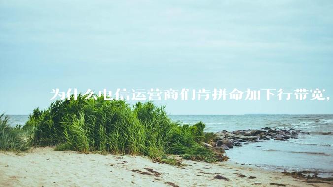为什么电信运营商们肯拼命加下行带宽，却对上行严防死守?