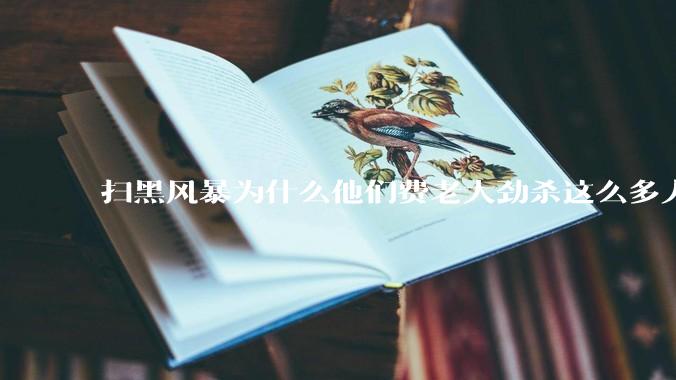 扫黑风暴为什么他们费老大劲杀这么多人不如直接把督导组干掉？
