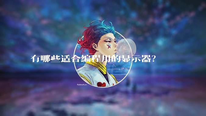 有哪些适合编程用的显示器？