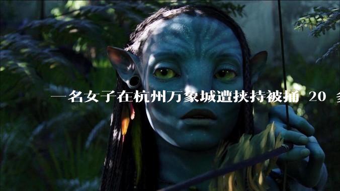 一名女子在杭州万象城遭挟持被捅 20 多刀，隆胸***体救了一命，这反映出哪些公安系统的问题？