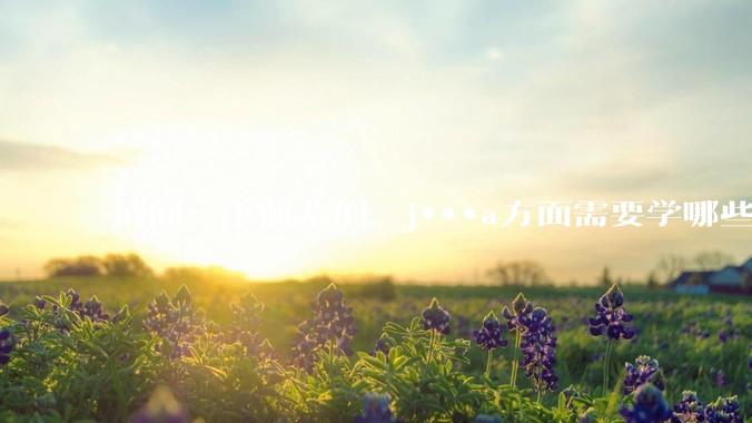 请问一下前辈们，j***a方面需要学哪些数据库？