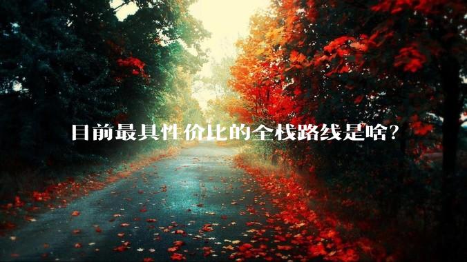 目前最具性价比的全栈路线是啥？
